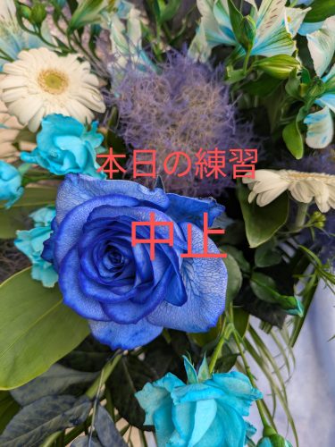 14日15日練習中止